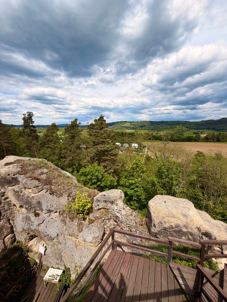 IMG_3607